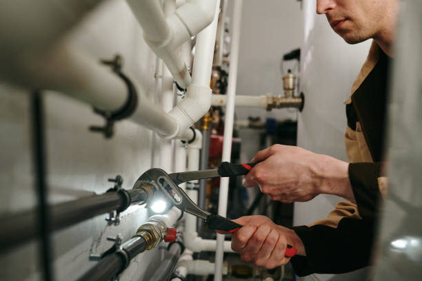 Best Local Plumber Services  in Royal Palm Estates, FL