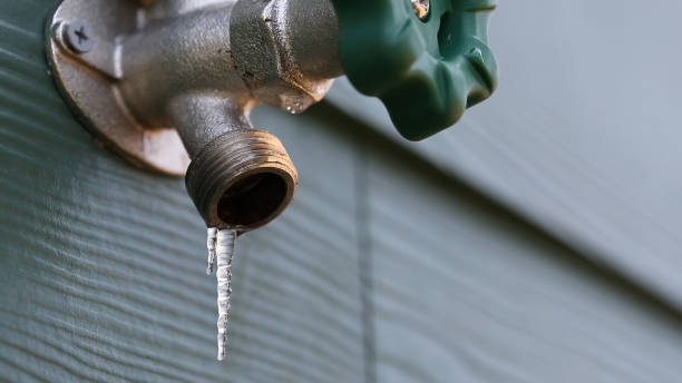 Best Gas Line Repair  in Royal Palm Estates, FL
